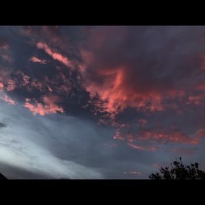 Meet your Posher, Riley